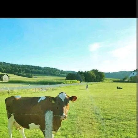 Entspannung Pur Daire Schmallenberg